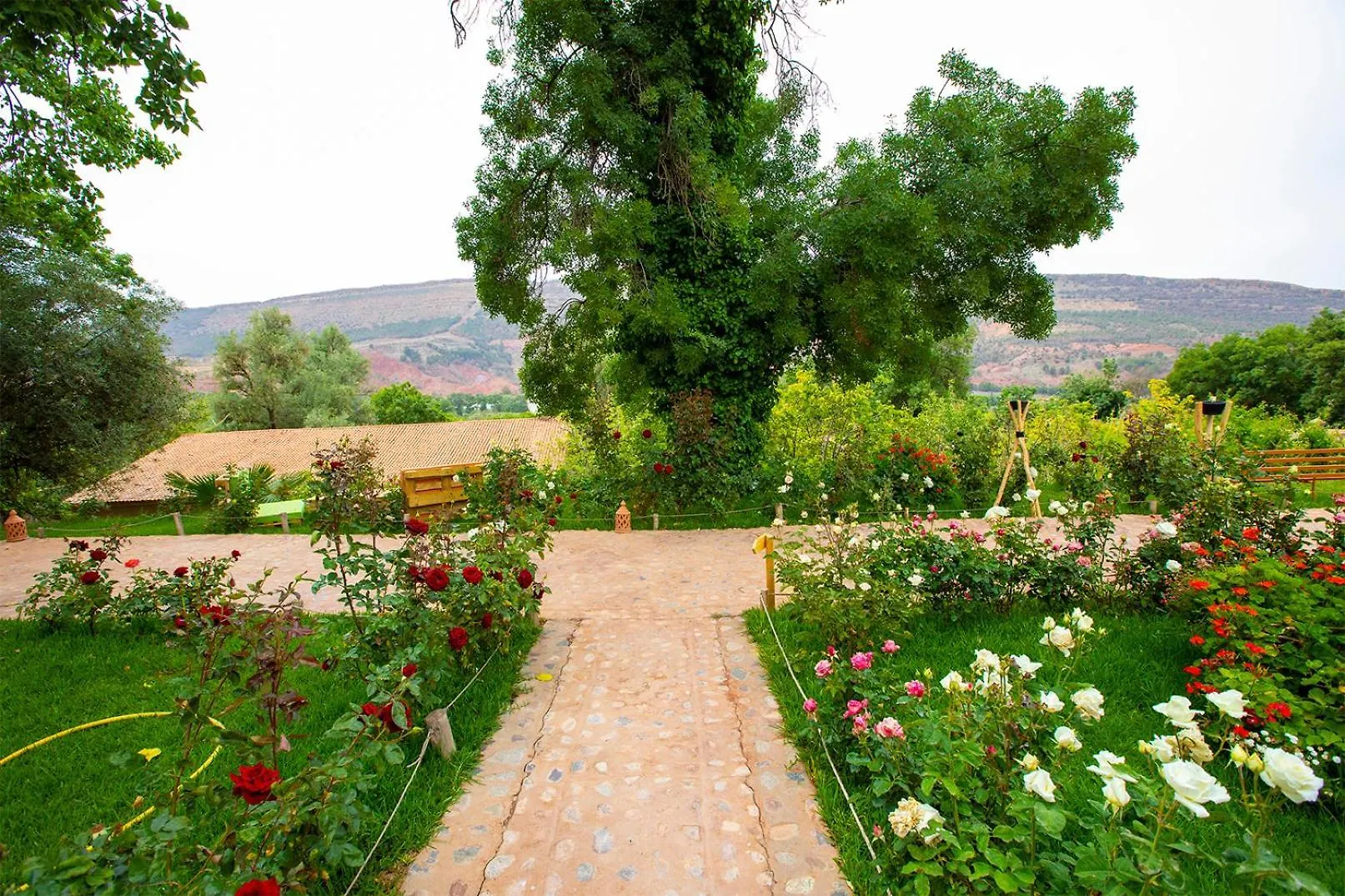 The Garden Of Asni Villa Marrakesh Farm stay