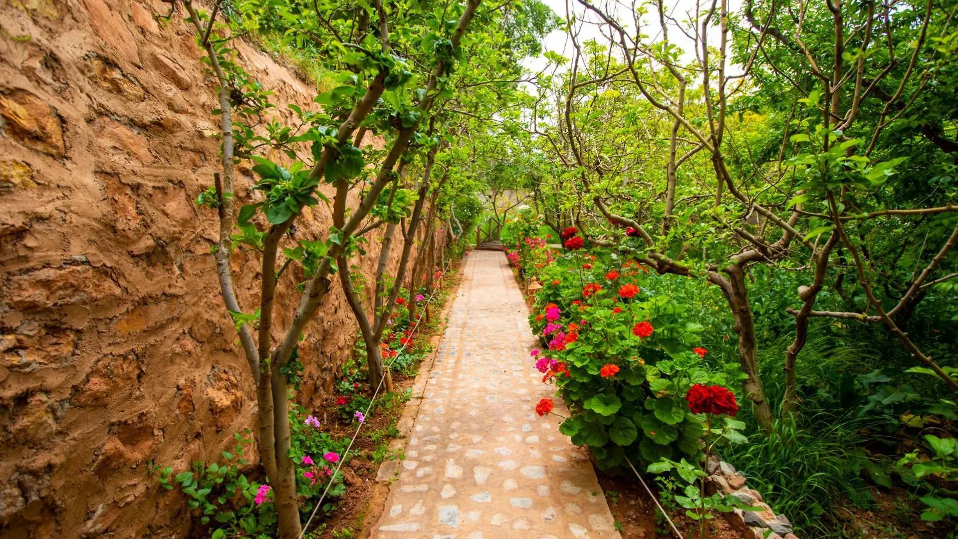 The Garden Of Asni Villa Marrakesh 0*,  Morocco