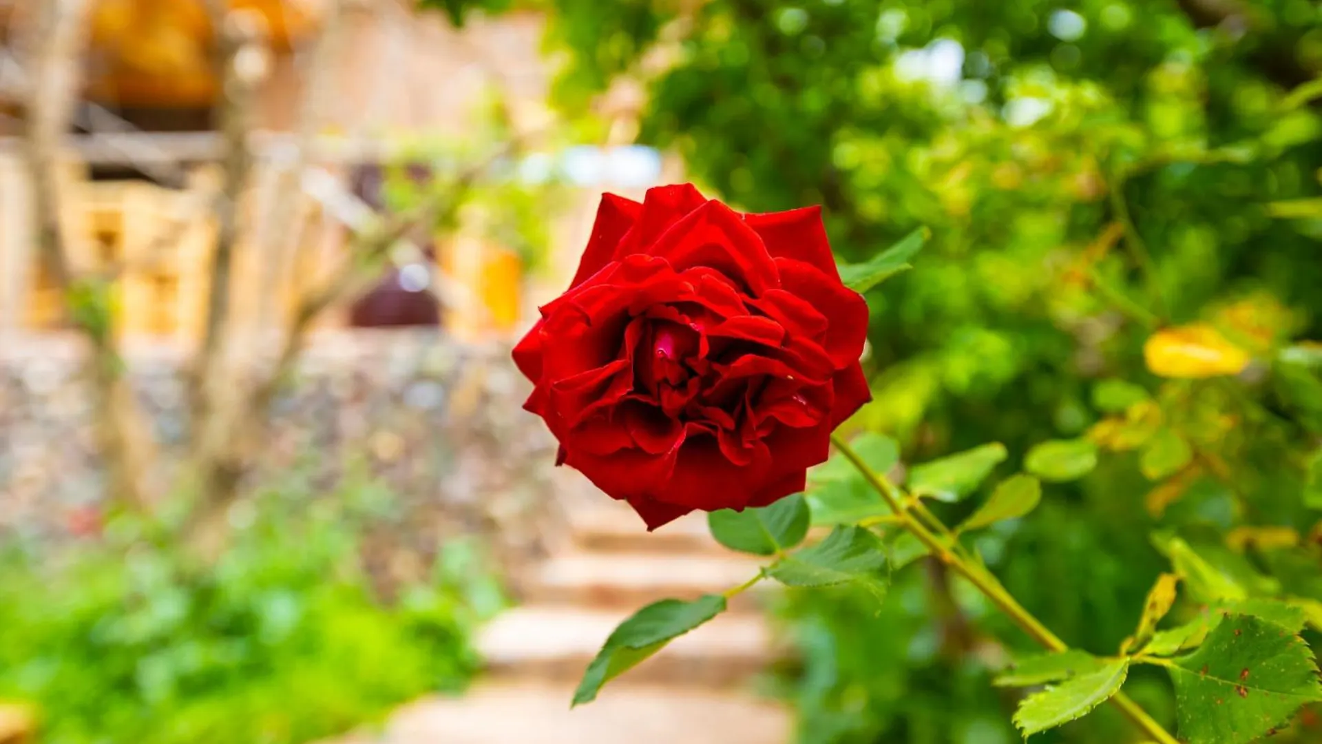 The Garden Of Asni Villa Marrakesh Farm stay