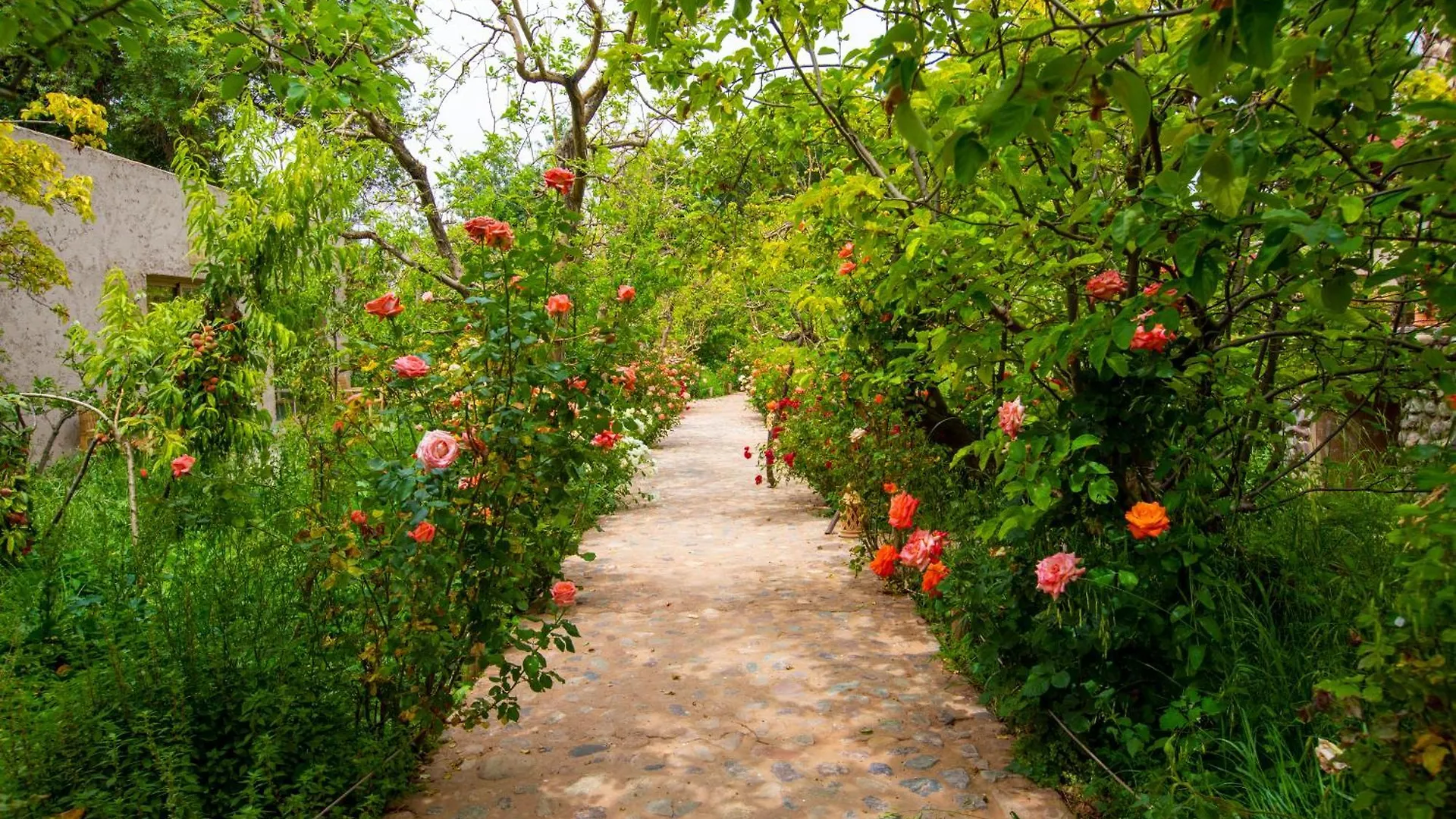 The Garden Of Asni Villa Marrakesh