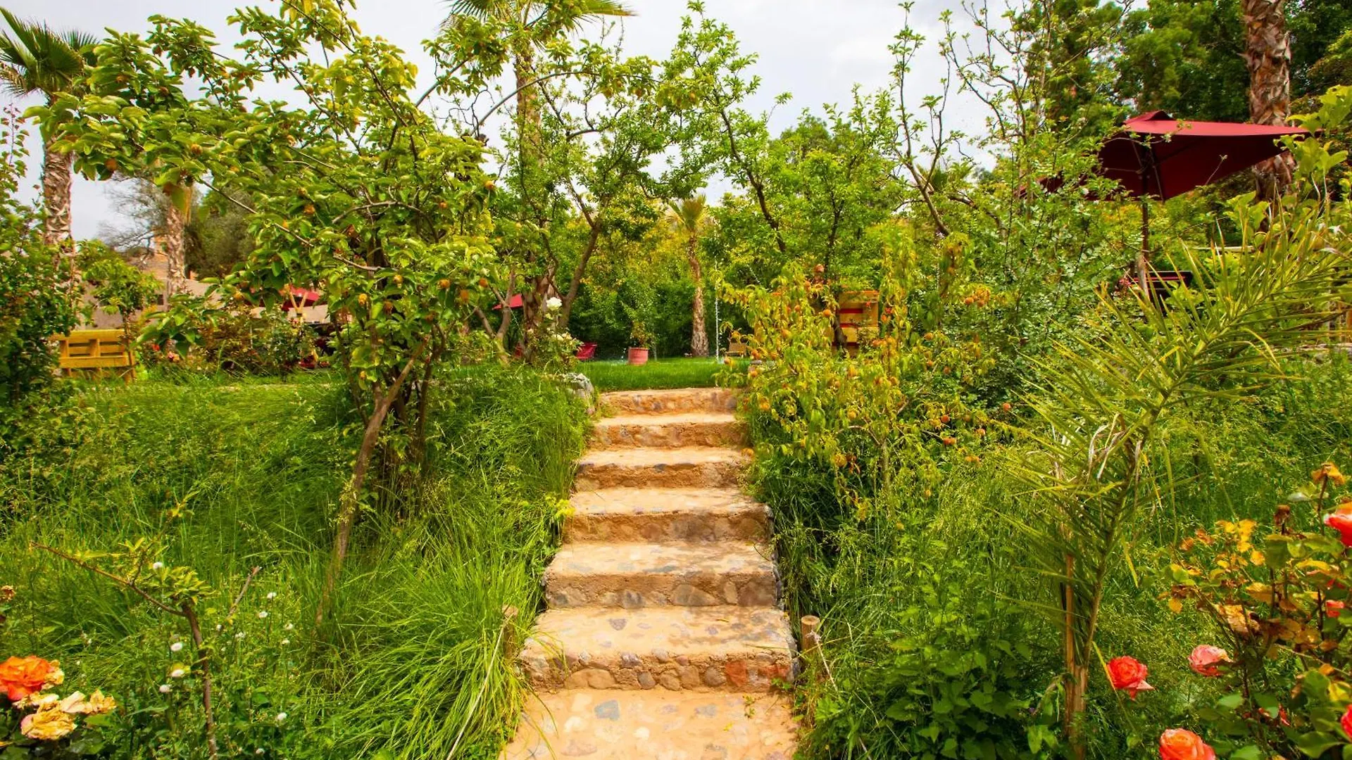 The Garden Of Asni Villa Marrakesh 0*,
