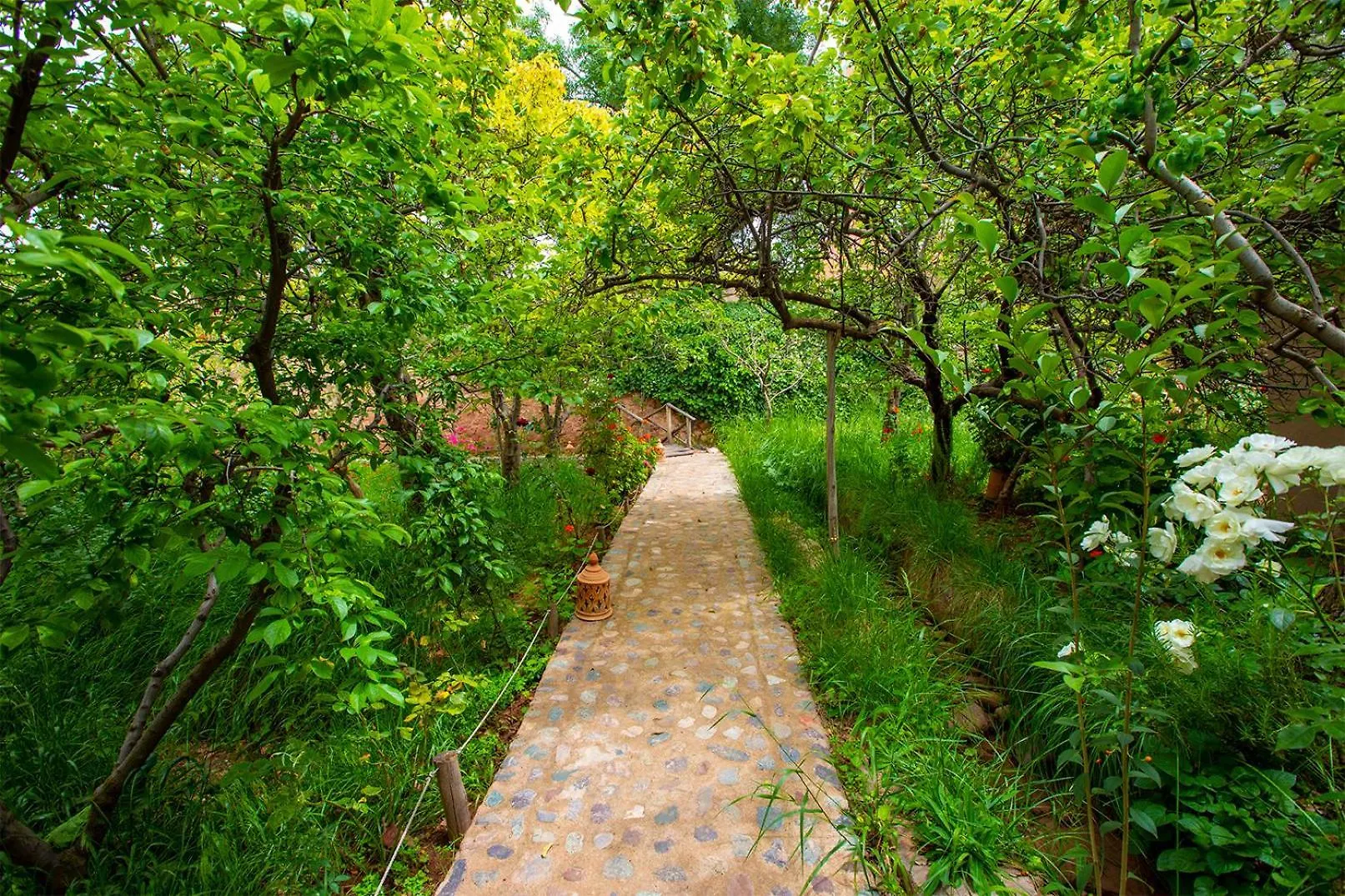 The Garden Of Asni Villa Marrakesh 0*,  Morocco