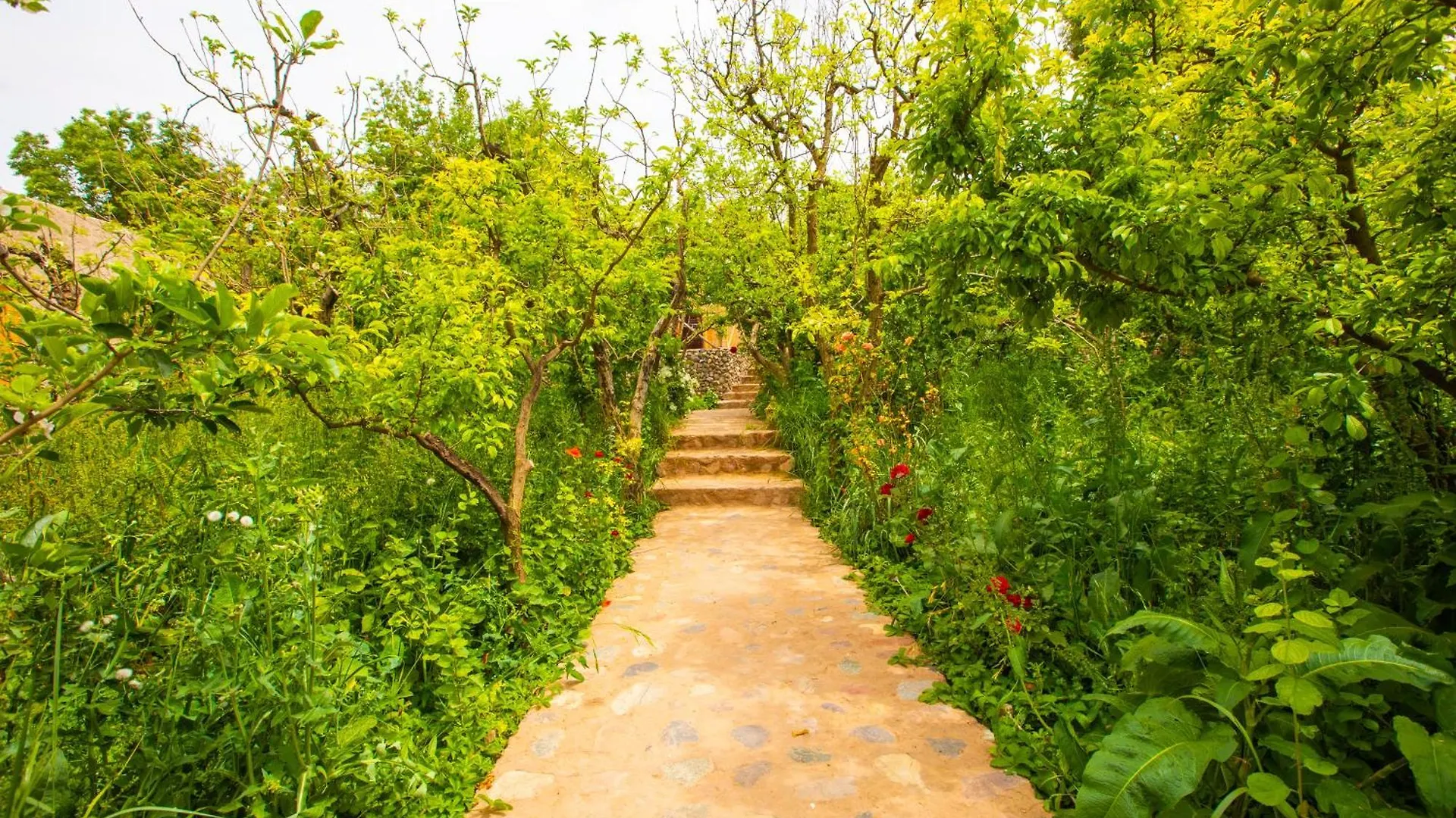 Farm stay The Garden Of Asni Villa Marrakesh Morocco